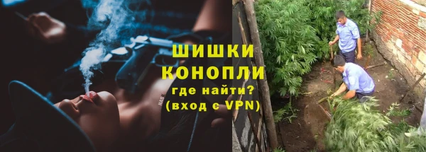 спиды Медногорск
