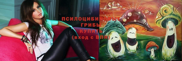 спиды Медногорск