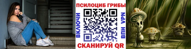 Купить закладки  Амурск  Галлюциногенные грибы Psilocybine cubensis 